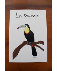 Affiche Le toucan