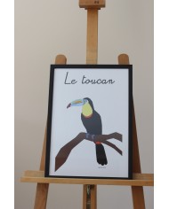 Affiche Le toucan