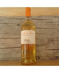 BOUTEILLE 75CL VIN DE BERGERAC BLANC MONBAZILLAC - CASTEL LA PEZE