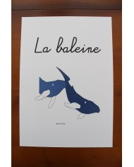 Affiche La baleine Affiche La baleine
