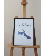 Affiche La baleine Affiche La baleine