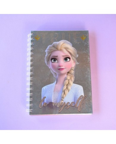 Carnet spirales Reines des Neiges 2