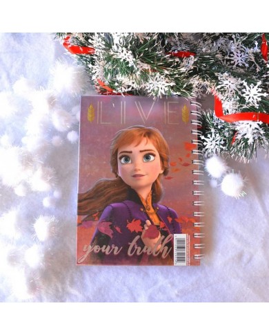 Carnet spirales Reines des Neiges 2