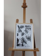 Affiche Arbres vue du ciel