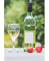 Vin blanc sec - Sauvignon