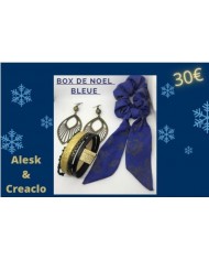 Box de Noël bleue