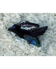 Pins bois d’ébène nacre haliotide