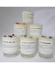 Bougie Oeil de tigre parfum Dlicieuse figue BOUTE4804