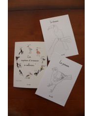 Feuilles de coloriage "Espèces d'oiseaux"