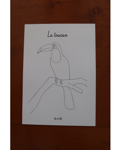 Feuilles de coloriage "Espèces d'oiseaux"