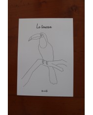 Feuilles de coloriage "Espèces d'oiseaux"