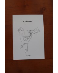 Feuilles de coloriage "Espèces d'oiseaux"