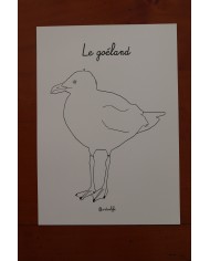 Feuilles de coloriage "Espèces d'oiseaux"