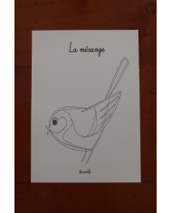 Feuilles de coloriage "Espèces d'oiseaux"