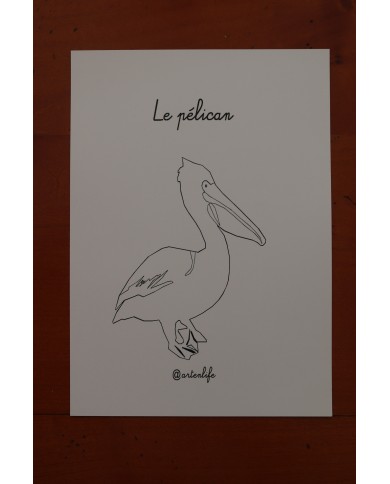 Feuilles de coloriage "Espèces d'oiseaux"
