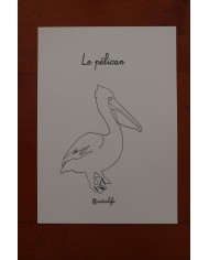 Feuilles de coloriage "Espèces d'oiseaux"