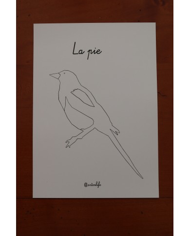 Feuilles de coloriage "Espèces d'oiseaux"