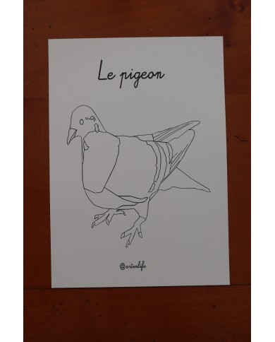 Feuilles de coloriage "Espèces d'oiseaux"