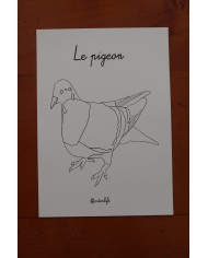 Feuilles de coloriage "Espèces d'oiseaux"