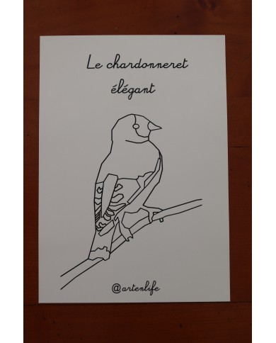 Feuilles de coloriage "Espèces d'oiseaux"