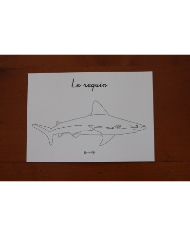 Feuilles de coloriage "Animaux marins"
