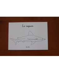 Feuilles de coloriage "Animaux marins" Feuilles de coloriage "Animaux marins"