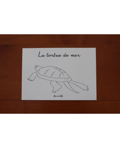 Feuilles de coloriage "Animaux marins"