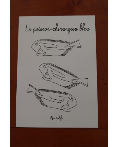 Feuilles de coloriage "Animaux marins"