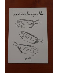 Feuilles de coloriage "Animaux marins" Feuilles de coloriage "Animaux marins"