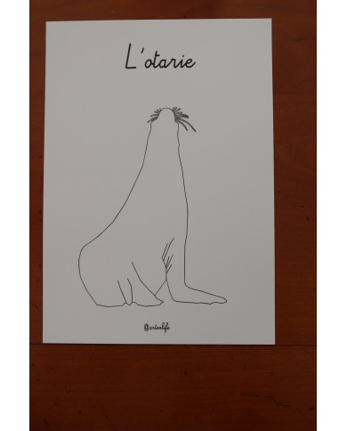 Feuilles de coloriage "Animaux marins"