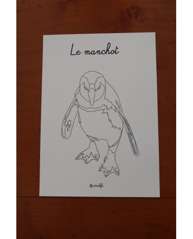 Feuilles de coloriage "Animaux marins"