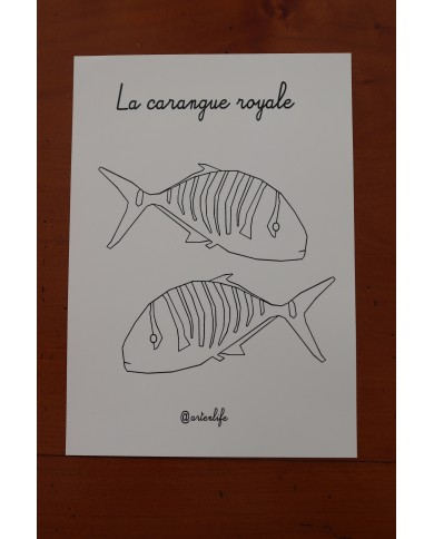 Feuilles de coloriage "Animaux marins"