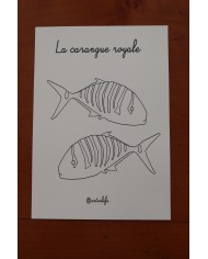 Feuilles de coloriage "Animaux marins" Feuilles de coloriage "Animaux marins"