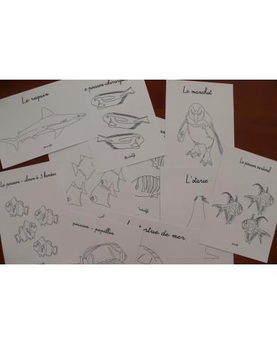 Feuilles de coloriage "Animaux marins"