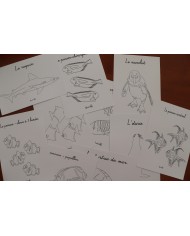 Feuilles de coloriage "Animaux marins" Feuilles de coloriage "Animaux marins"