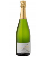 Champagne Blanc de Blancs 2010