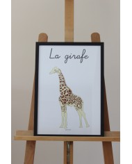 Affiche girafe Affiche girafe