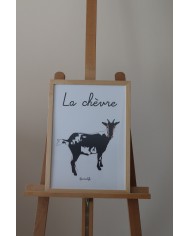 Affiche chèvre