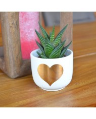 Mini cache pot coeur Mini cache pot coeur