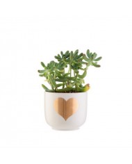 Mini cache pot coeur Mini cache pot coeur