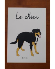 Affiche chien Affiche chien