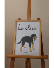 Affiche chien Affiche chien